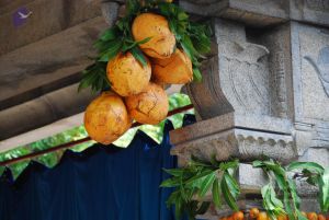 20090615 Photo 1416 1kggVi9I6FPPPwRZBpsw9C1Fyqc4 3L66.JPG