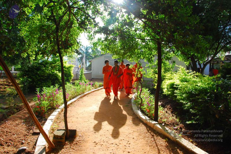 File:20090615 Photo 1439 10ThGP6ZhUu03dx2UZsq-63luCox5X ge.JPG