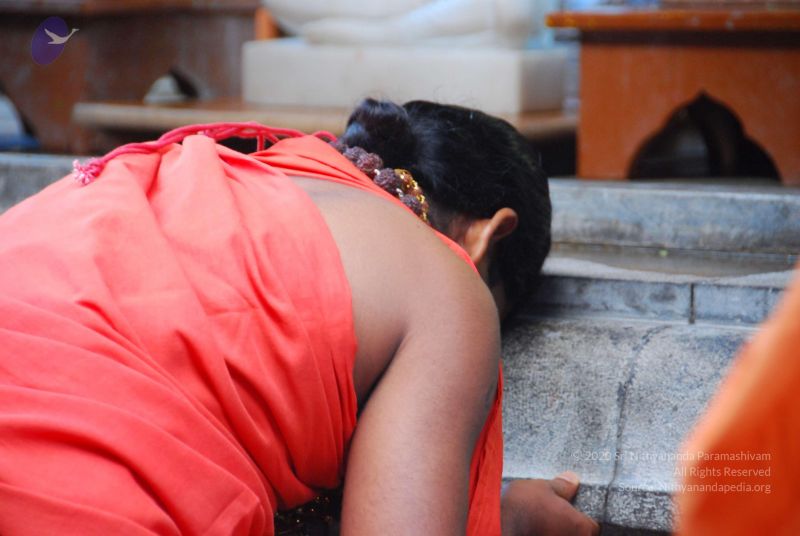 File:20090615 Photo 1445 1P7pWvFVc0xDkpwink 7knYRrz1FILv0K.JPG