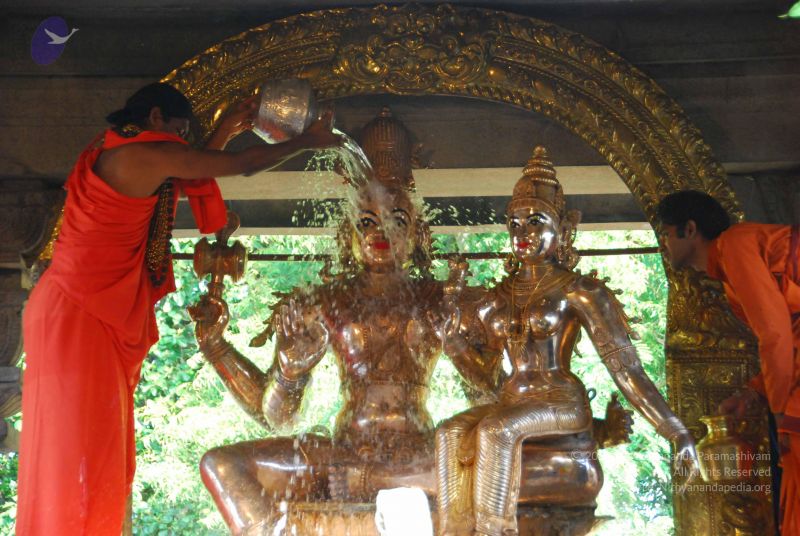 File:20090615 Photo 1454 1otApd1dNgW1lUTz4KYgUA6eQCt-E2jfk.JPG