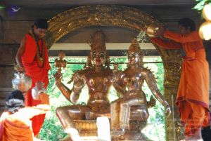 20090615 Photo 1458 1rdbTIkEAzdgnM73fAiYnAcAgS26cNdRA.JPG