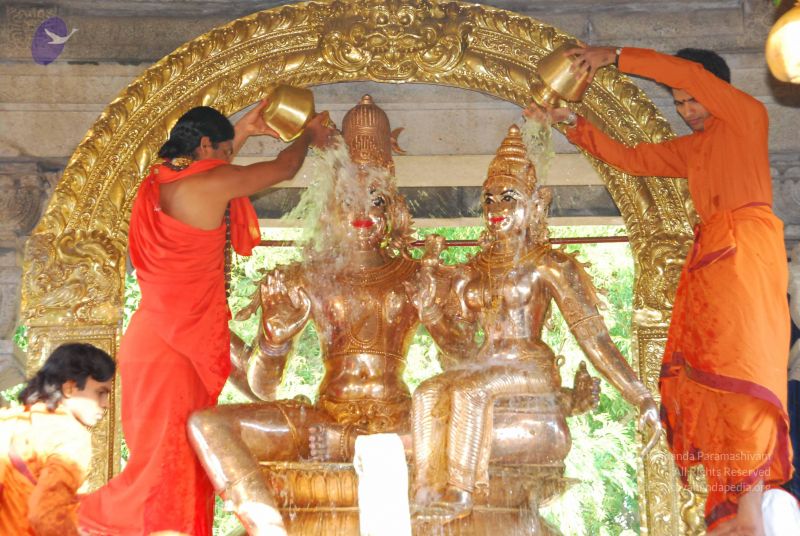 File:20090615 Photo 1468 1BTOCDEtn7SlNiPif91s2cD3J0lDqXUFW.JPG