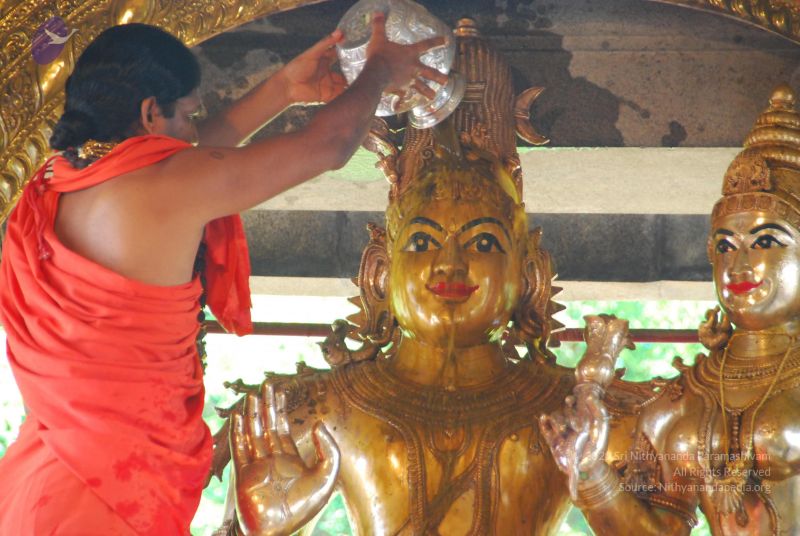 File:20090615 Photo 1482 1hIzofGFTTTmUsjAjMRHhIFv5Pxlotp-F.JPG