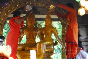 20090615 Photo 1492 1XZKwkiwQ6TDy37y2K4bWQJddG2-mSHIm.JPG