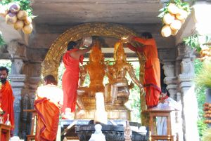 20090615 Photo 1510 1YFwehwQ944UJEYRRkT4U80riiJ5uT5tN.JPG