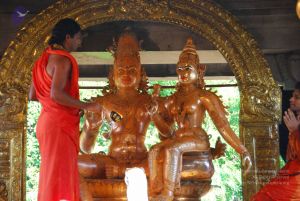 20090615 Photo 1517 1bt4ogtXmA74rorN1lo2wYUotmPAJkhFv.JPG