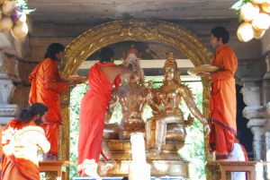 20090615 Photo 1518 1IXPq6CAZfa0LcsqjP-MdtdN69WvDtlZn.JPG