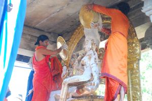 20090615 Photo 1525 11yV60iIZrGH6mzQBOZ4YBlbiApMXB0CH.JPG