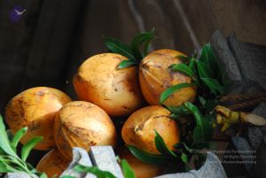 20090615 Photo 1566 1AW-zWTCX7dOosyus-Csr8oIAKw7CDktX.JPG