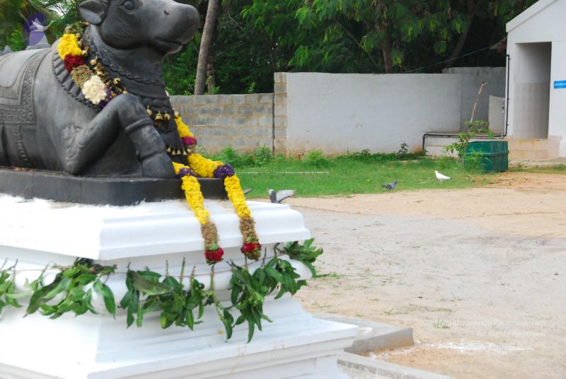 File:20090615 Photo 1579 1cQsHQy0ZaUhsZqgcW9OrrvNuI9NizMYH.JPG