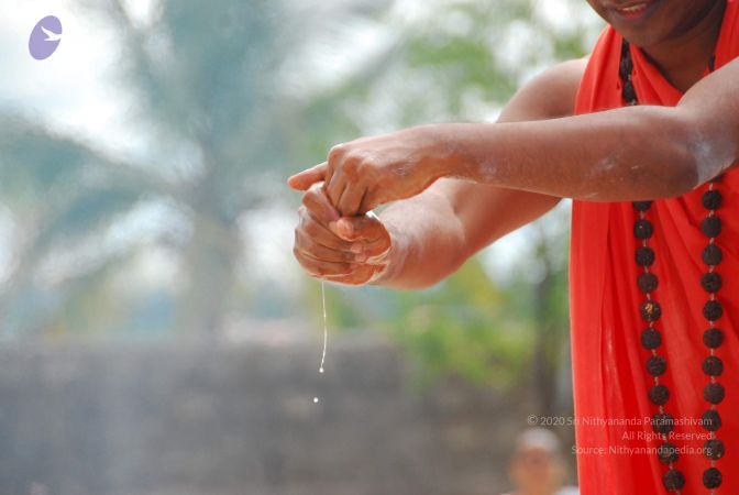 20090615 Photo 1605 1A9VLXbfsAWnhsZ Vmock2ddb8TNmyPhb.JPG