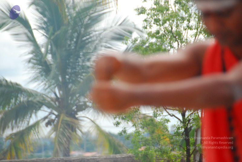 File:20090615 Photo 1606 1X1Xx9tO6fXq wesLWdOc2p6cOzQ9VAie.JPG