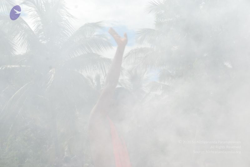 File:20090615 Photo 1646 1TY2lFMBhxPL0t8EcnQmeAzVbL1j38Zkh.JPG