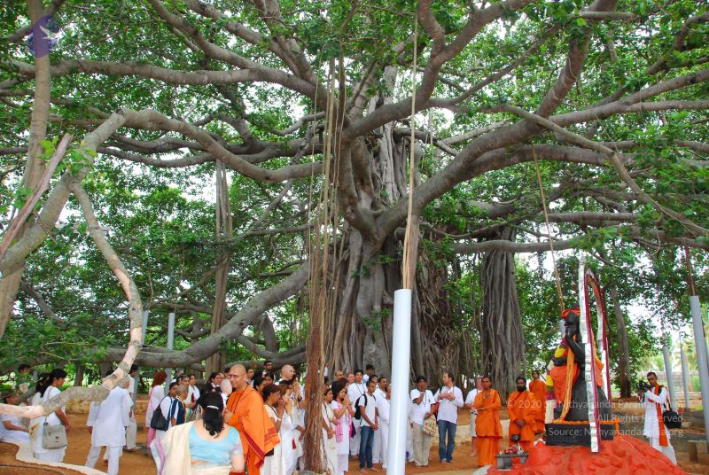 File:20090617 Photo 1256 1sUIeEEFggLqlj4EaIP0 nfei w5JsbyJ.JPG