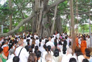 20090617 Photo 1287 1vCEZaYS4mM1Z7LgjEov05kK7fb52utdb.JPG