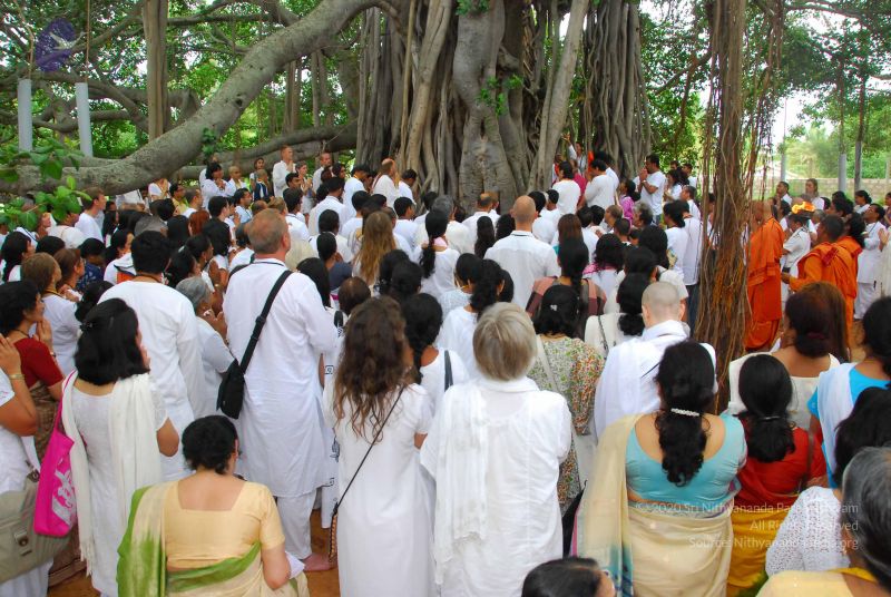 File:20090617 Photo 1289 1782mYdwDD2nOlVxIQd4JWYtH3H52iLIe.JPG