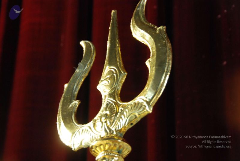 File:20090619 Photo 1167 1xOtUU70ZZ4wSW1Bn9xm-3IM9svMpMIF1.JPG