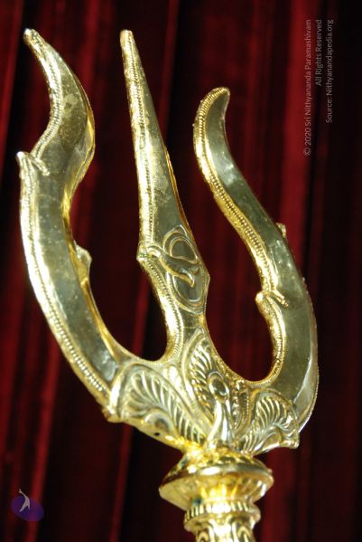 File:20090619 Photo 1174 1PfWetzBX8mBY76sEEHwsrBXyRwgeD59q.JPG