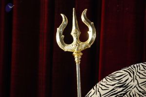 20090619 Photo 1179 1YvNwL1SiCjqGNT2lpCV8rMZIaSLz433x.JPG