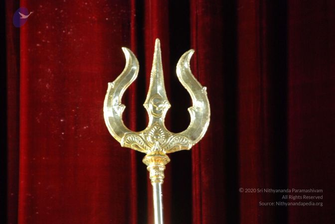 20090619 Photo 1218 1vl-a0JOTMY IuWgWVs71HcOhLvfz3fC0.JPG