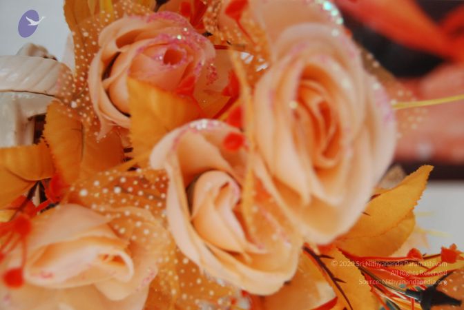 20090620 Photo 1089 1PTemQhvfb0wSYH0pbbYd2tIaeBtRDSH4.JPG