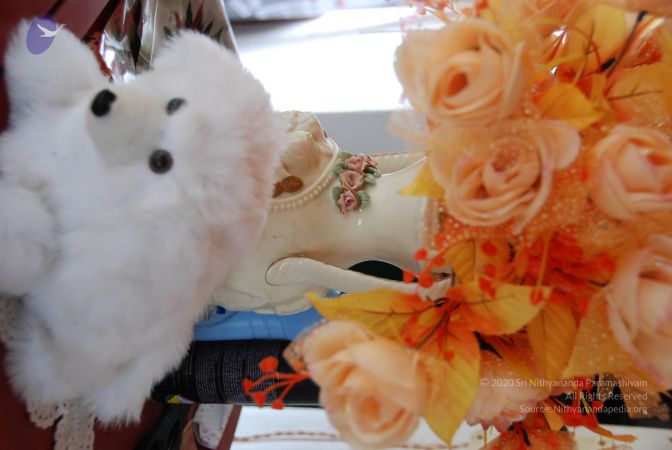 20090620 Photo 1090 1qjCr KF35OvD1Toj0tYVjQYXSPdUtubm.JPG