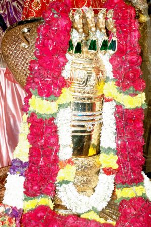 20090621 DSC 0066 CMP WM1.jpg