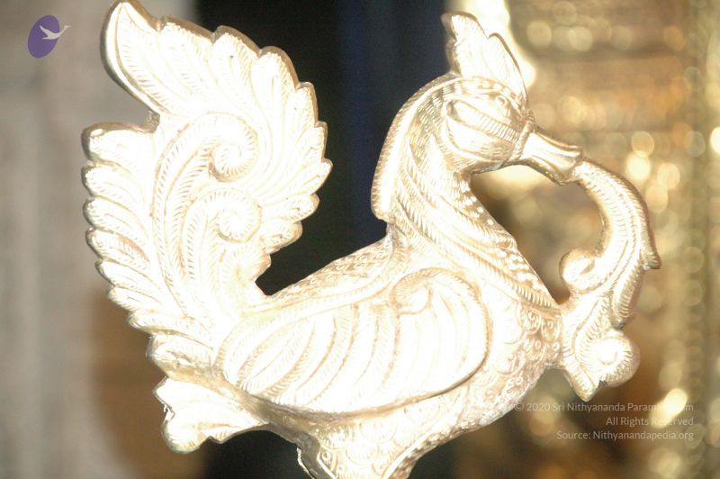 File:20090621 Photo 1027 17pdTQ608VhHOdZWDEItXnB4B4Ay1NsJ6.JPG