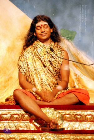 20090629 DSC 0060 CMP WM111.jpg