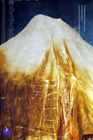 20090629 DSC 0066 CMP WM111.jpg