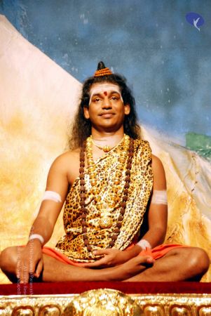 20090629 DSC 0074 CMP WM111.jpg