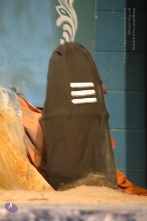 20090629 Photo 1066 1wkpPrj4KeOBcoGPS-lDgdl5CxPW6tbPj.JPG