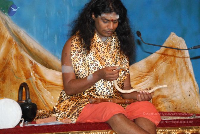 20090629 Photo 1241 1eYGLijdows675nB64-1RaAiwD9 Me6Mf.JPG