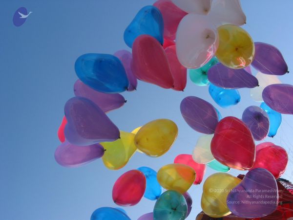 20090629 Photo 1448 1H72aHBCw86eZ8ABniYsXPYEyupuSJQA-.JPG