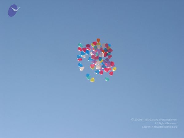 20090629 Photo 1456 1R-morrmaORWwx5VU-z2pOeYRhKbnzIsh.JPG