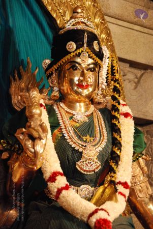 20090630 Photo 1070 1AeV 2lBxkVYwAbPQhxZ7-C99w8XZkdyS.JPG