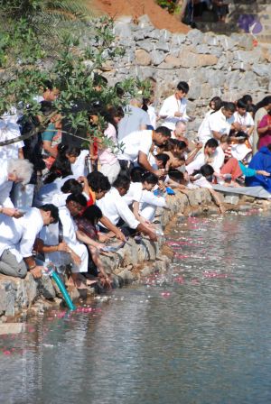 20090701 Photo 1404 1sCoMvHxHrA45N1wt6HpKJ8Cwi2d lTiU.JPG