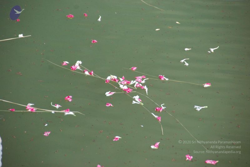 File:20090701 Photo 1446 1k4LJVuW8eyMOJD-akAe8ik ME7NO2nWE.JPG