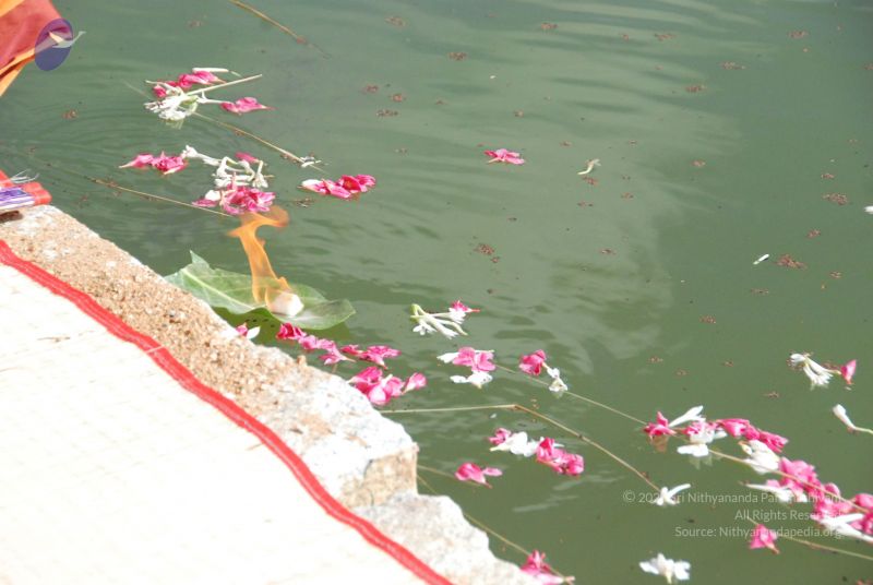 File:20090701 Photo 1459 1RCiLTKXnp2l9G8uB4XENPtCor2kALgHb.JPG