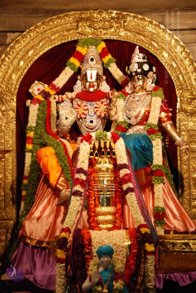 File:20090705 Photo 1005 1d2bPhU2f17VnAxZAda1xorjoMjFI ZpO.JPG