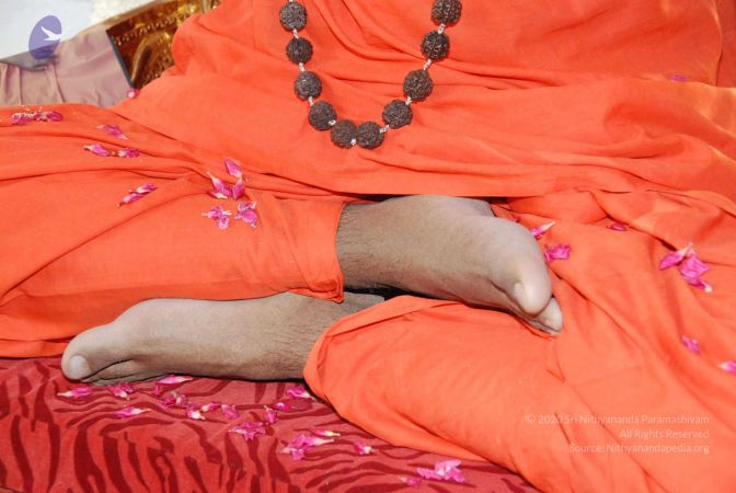 20090707 DSC 0003 CMP WM000100.jpg