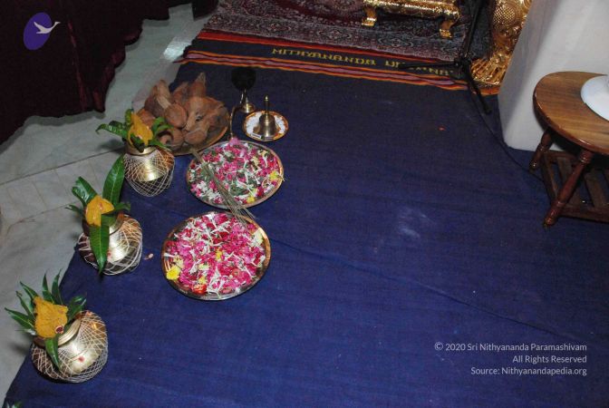 20090707 DSC 0005 CMP WM0100.jpg