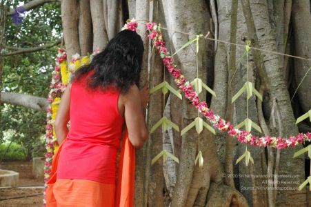 20090707 DSC 0038 CMP WM 01000.jpg