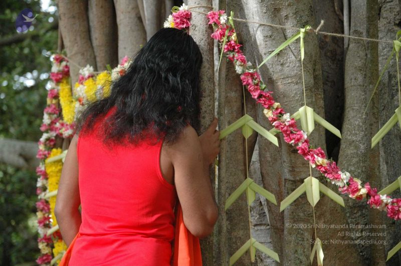 File:20090707 DSC 0041 CMP WM 01000.jpg