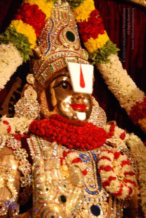 20090707 DSC 0051 CMP WM001.jpg