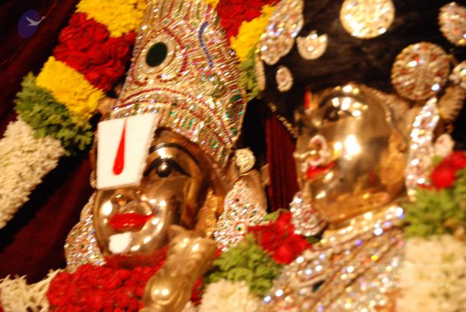 20090707 DSC 0052 CMP WM001.jpg