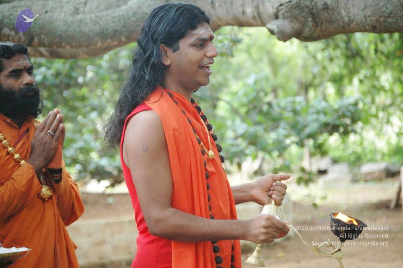 File:20090707 DSC 0054 CMP WM 01000.jpg