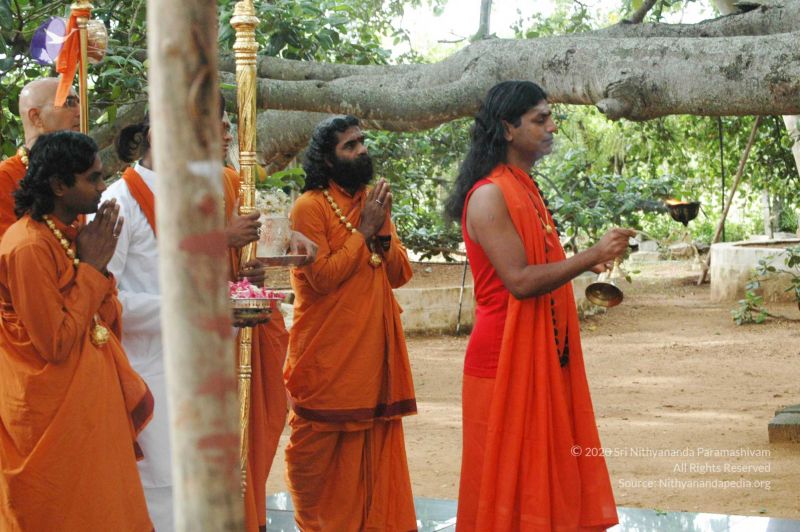 File:20090707 DSC 0059 CMP WM 01000.jpg