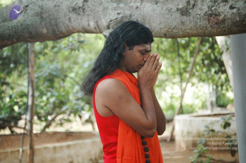 File:20090707 DSC 0064 CMP WM 01000.jpg