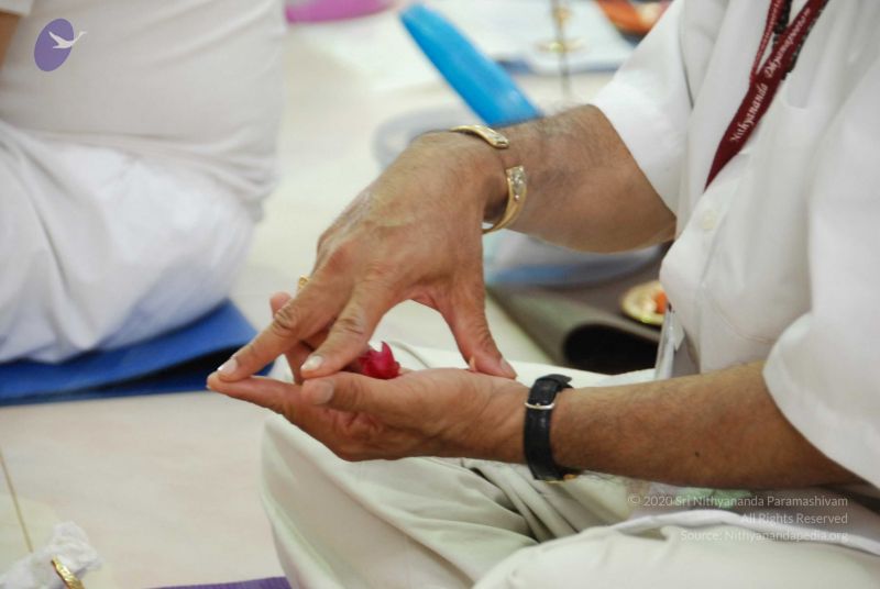 File:20090707 DSC 0083 CMP WM 100000.jpg